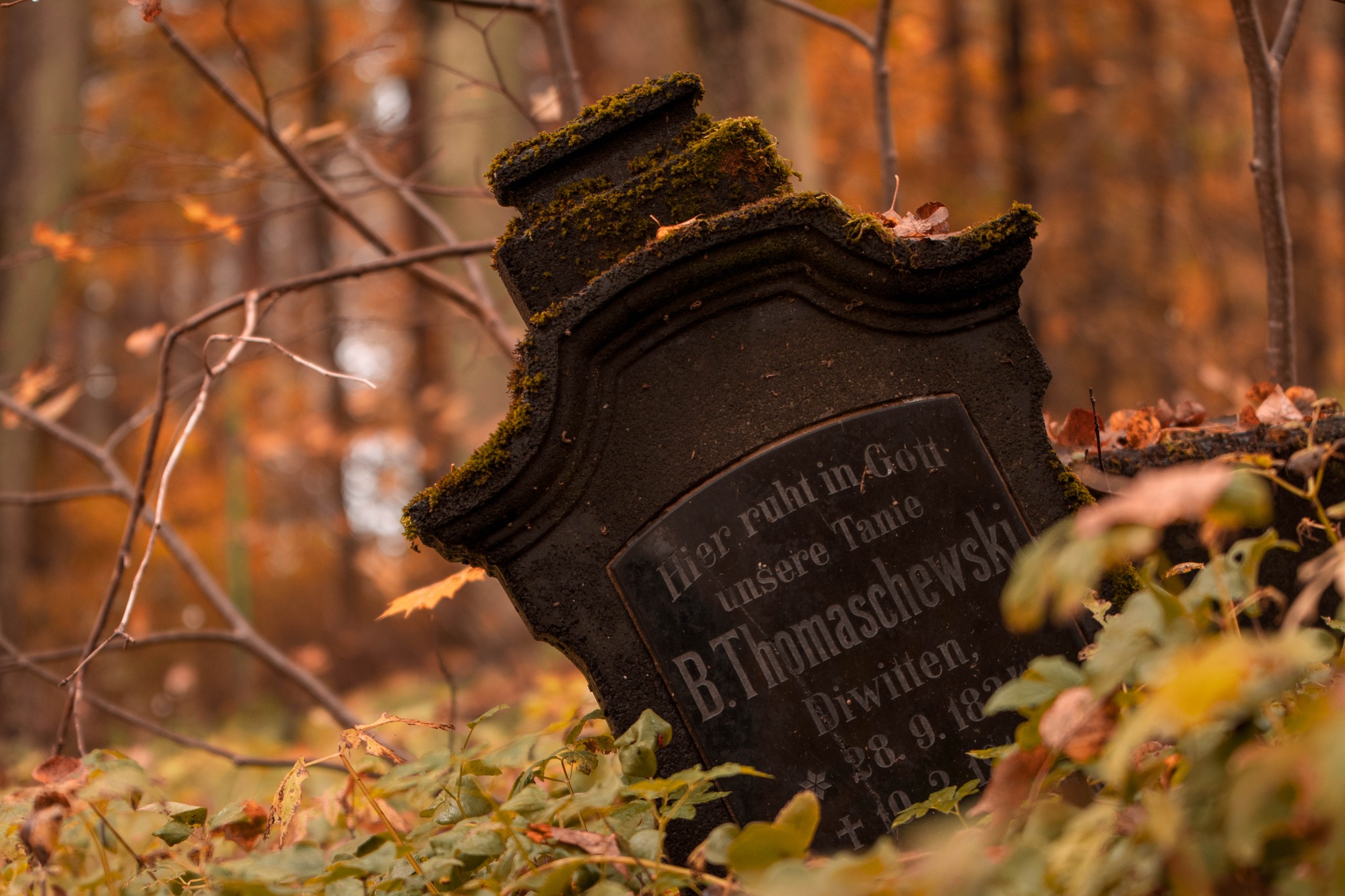 nagrobki na jednym z cmentarzu na Warmii 