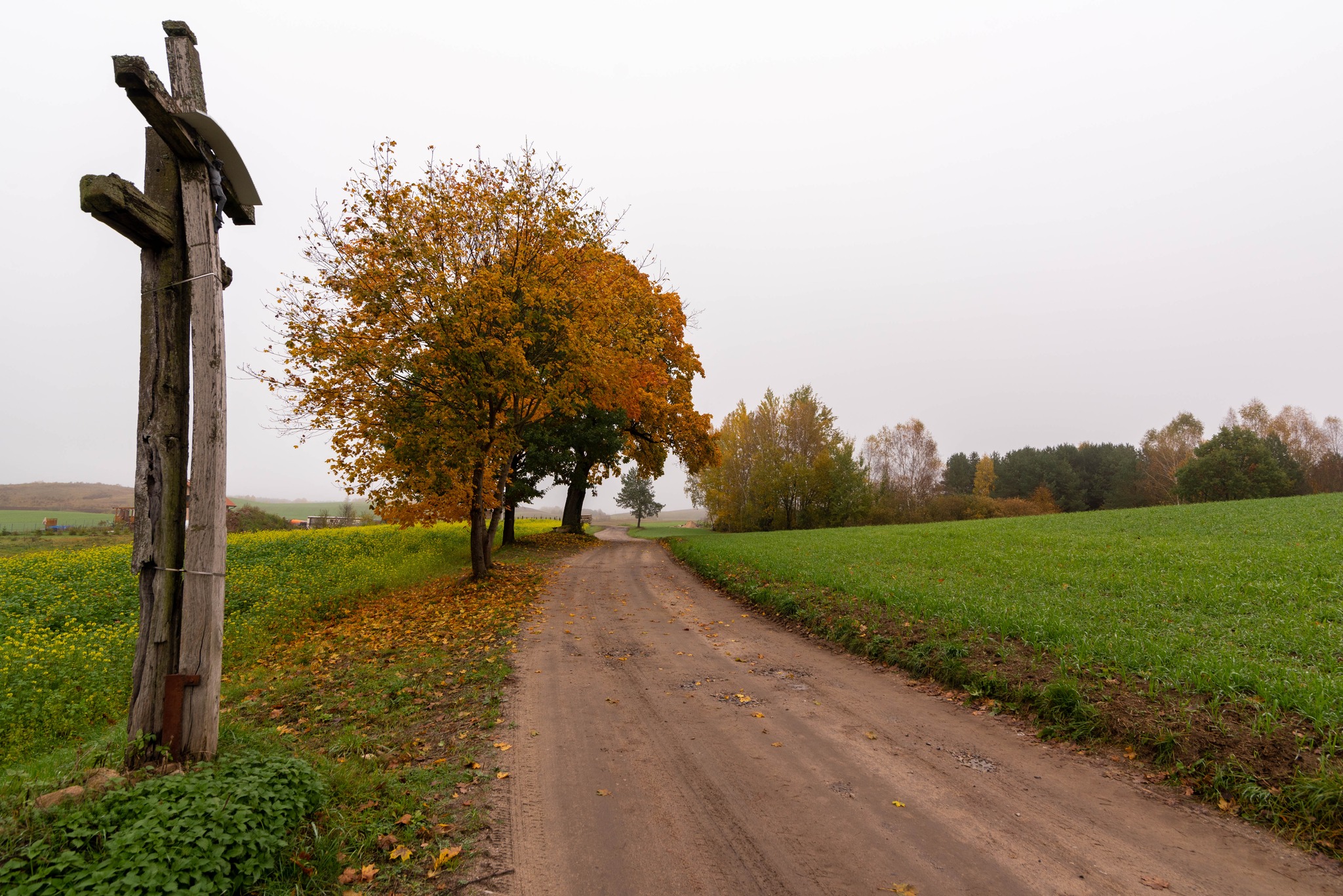 Brąswałd na Warmii 