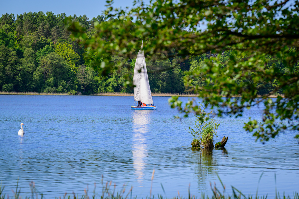 Jezioro Kortowskie i pływająca po nim żaglówka