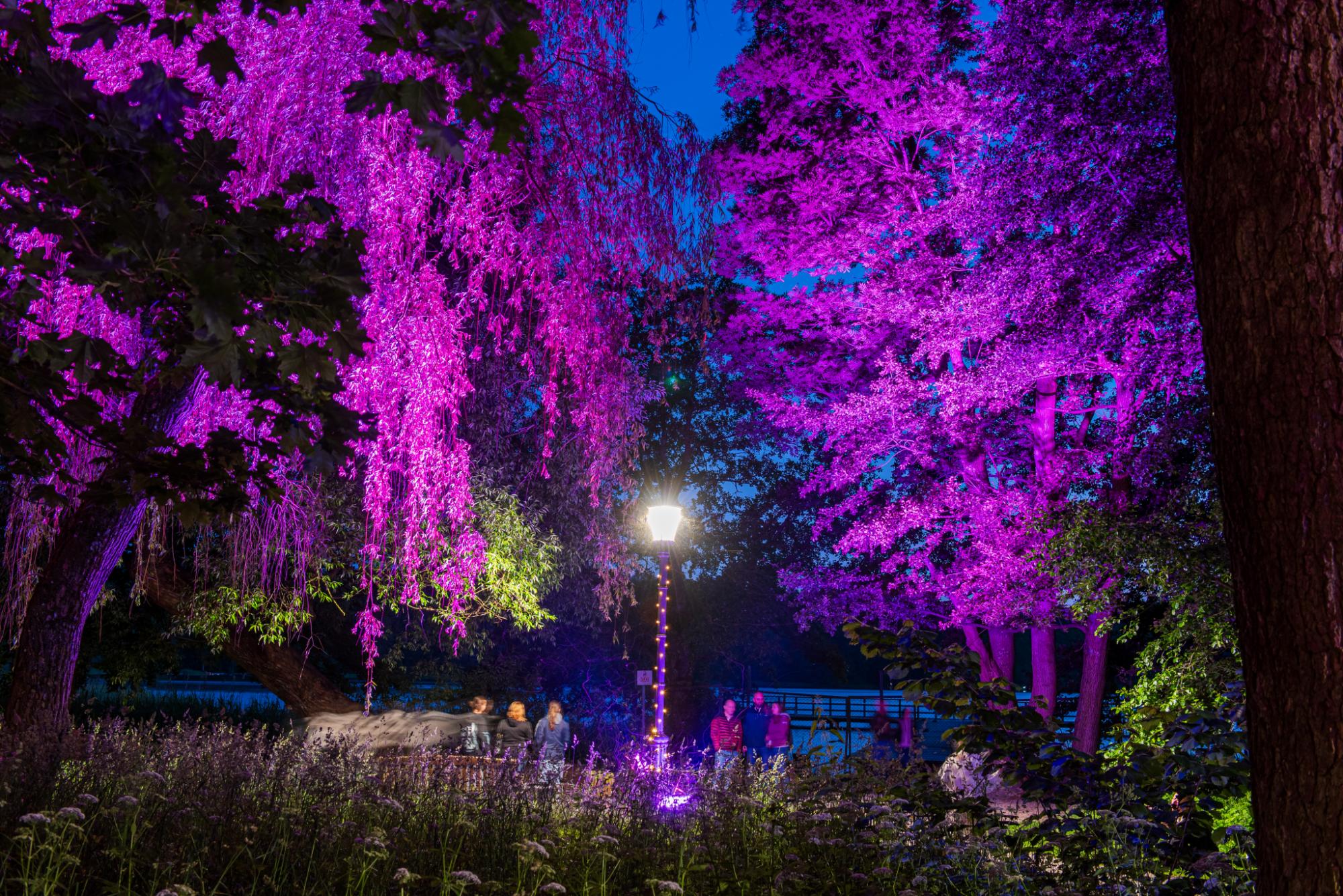 Park Światła