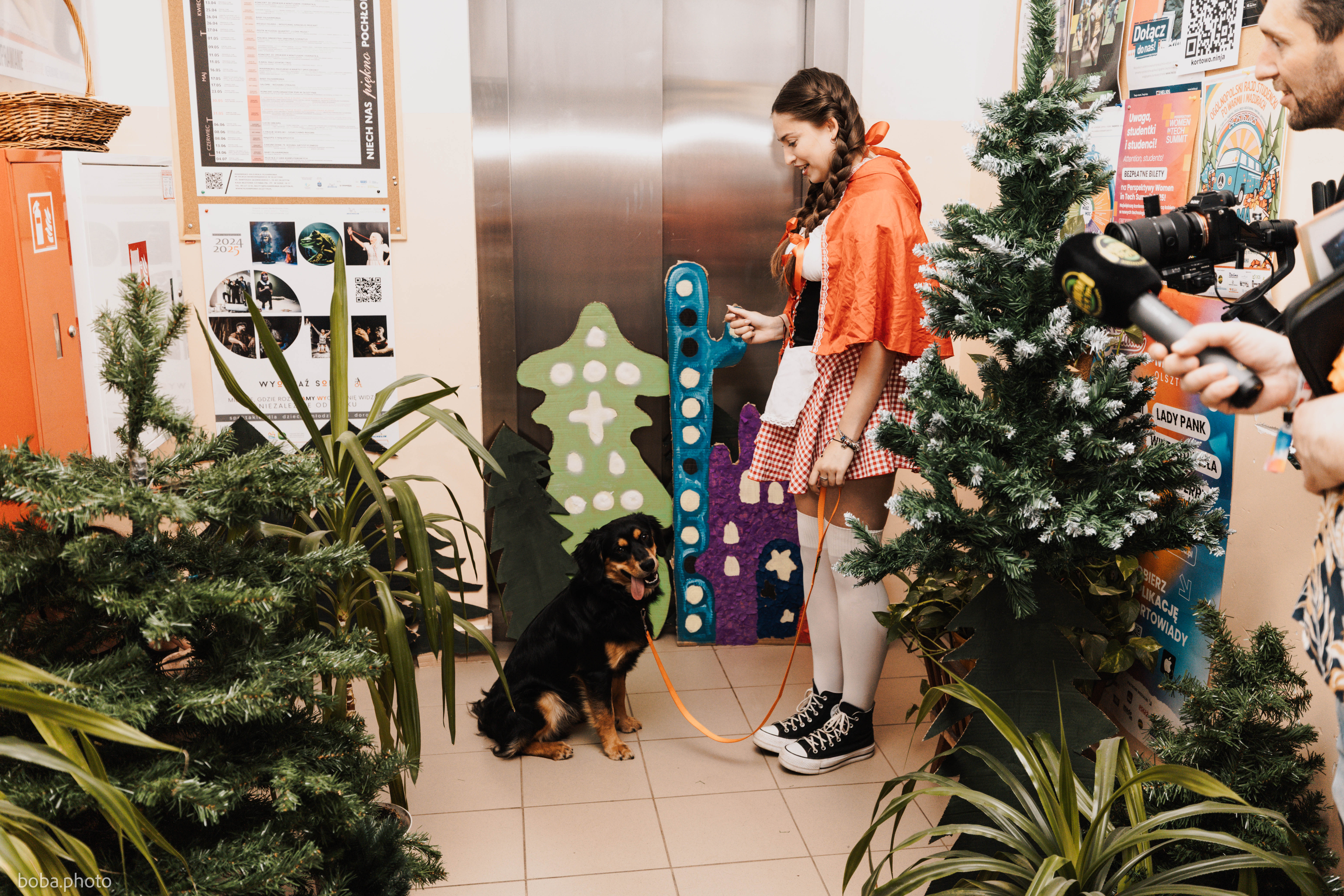 Kortowiada 2025: Wystrój akademików