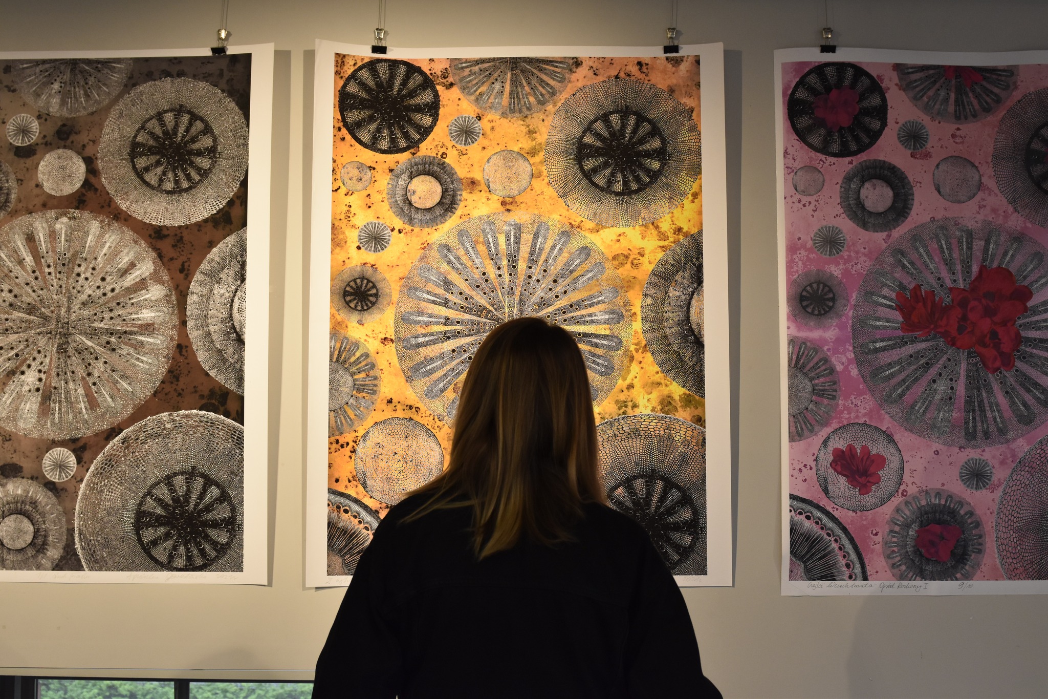 Wystawa Agnieszki Gewartowskiej