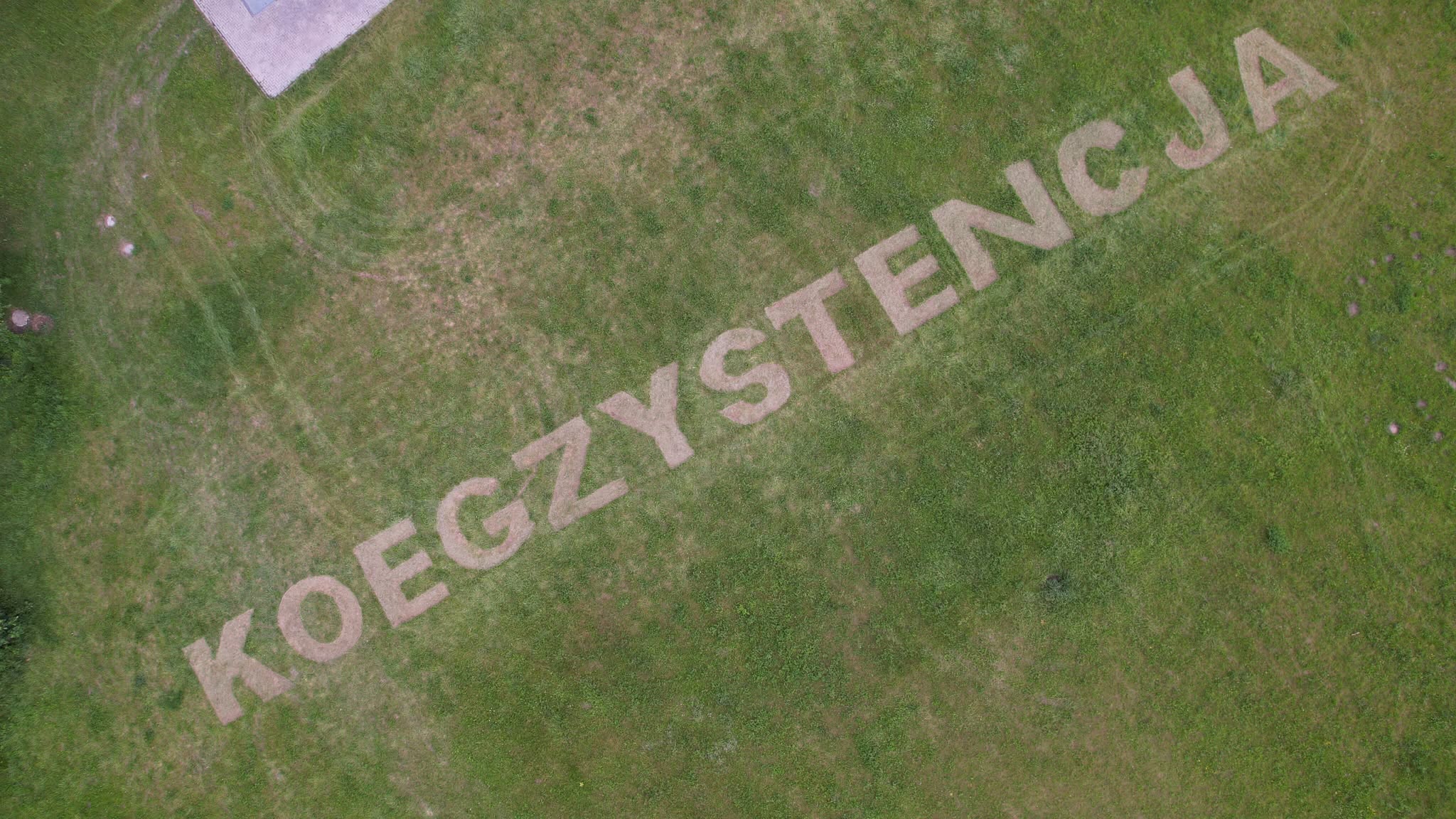 Koegzystencja - napis na trawie