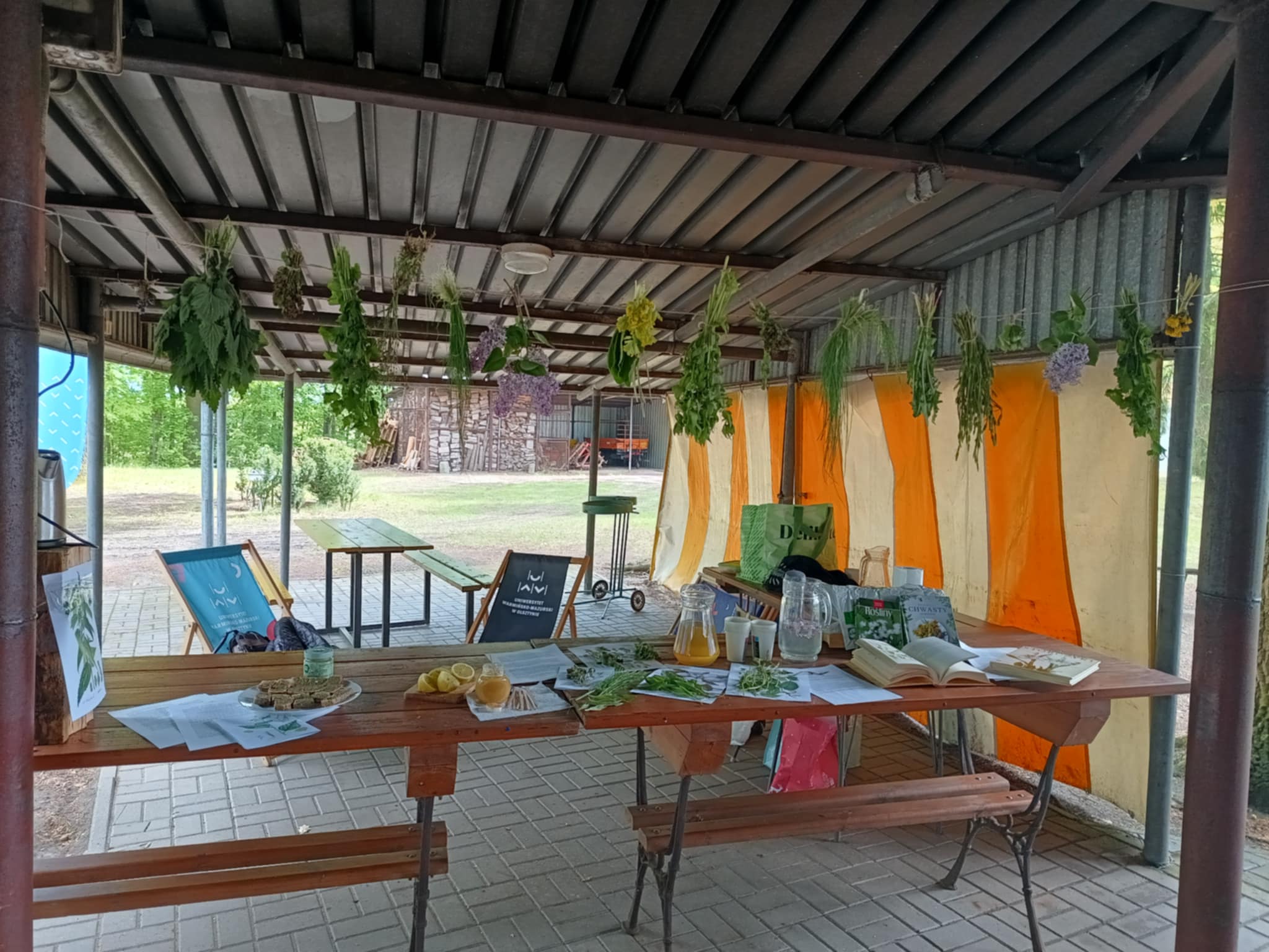 Sprzątanie Jeziora Starodworskiego