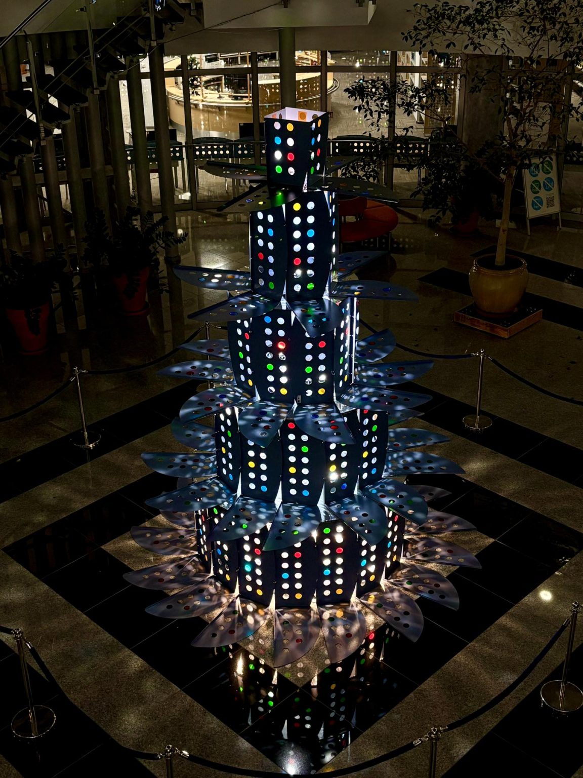 Nietypowa choinka w Bibliotece Uniwersyteckiej