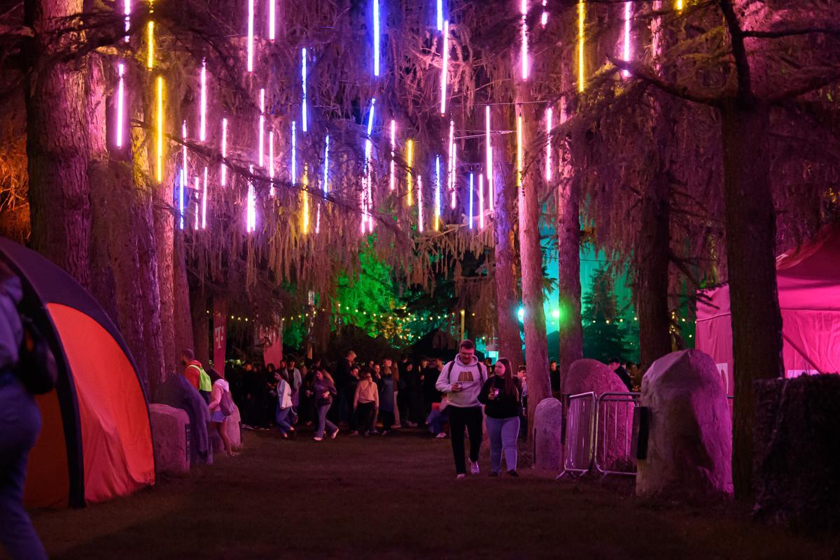 Kortowiada 2025: światła w parku kortowskim Fot. Katarzyna Wróblewska