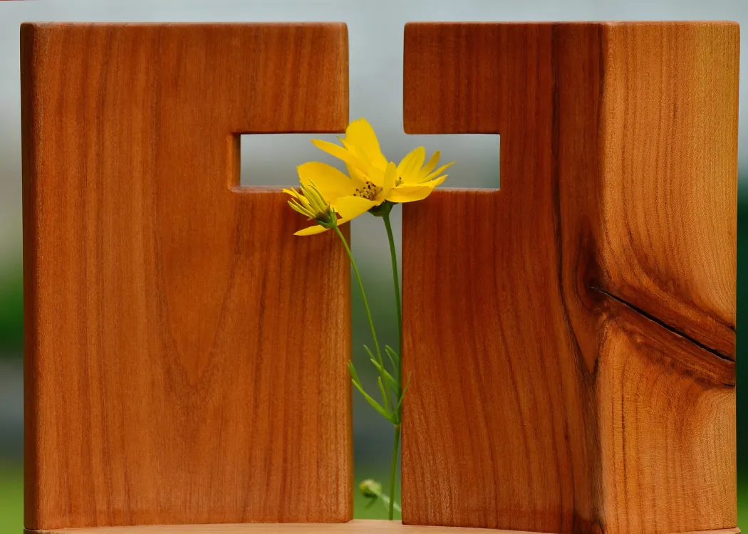 Krzyż, wiosna, nadzieja, fot. pixabay.com 