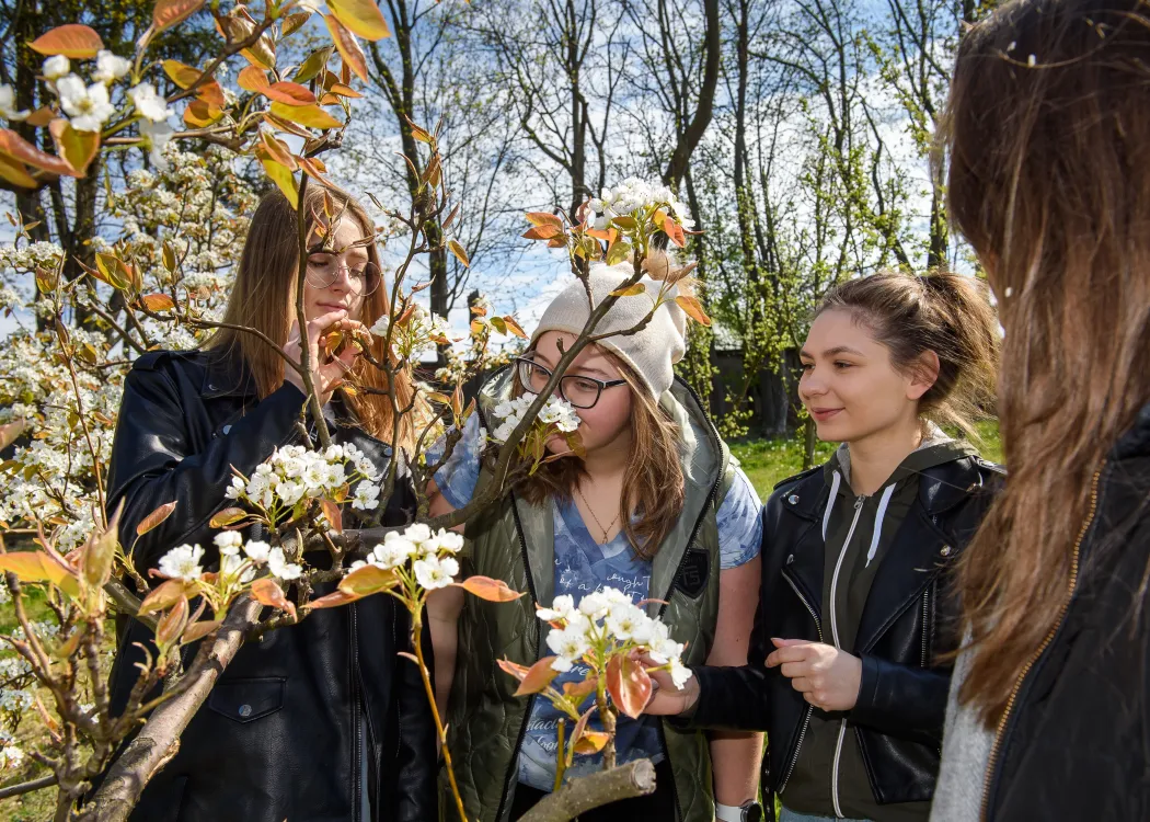 Studenci Wydziału Rolnictwa i Leśnictwa podczas zajęć w parku kortowskim