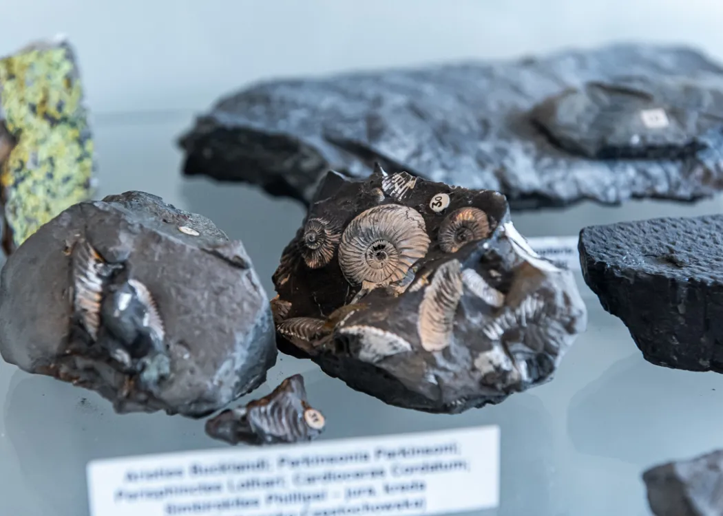 Olsztyńskie Dni Nauki i Sztuki 2023