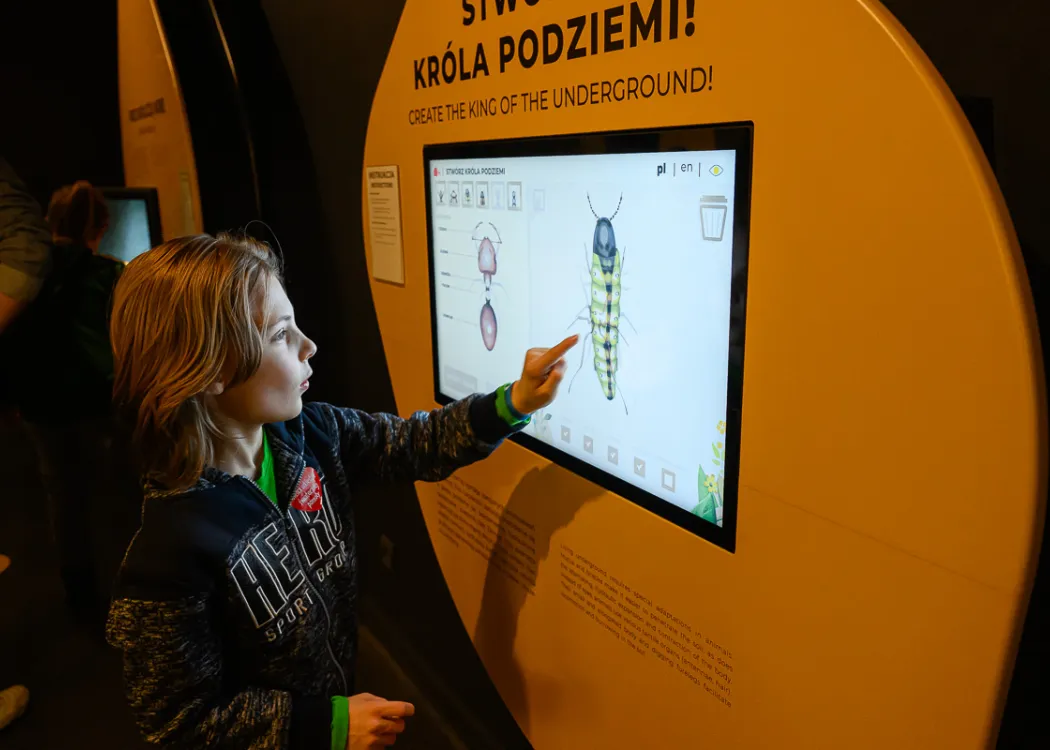 Sztab WOŚP 2024 na UWM w Olsztynie. Finał w Kortosferze 