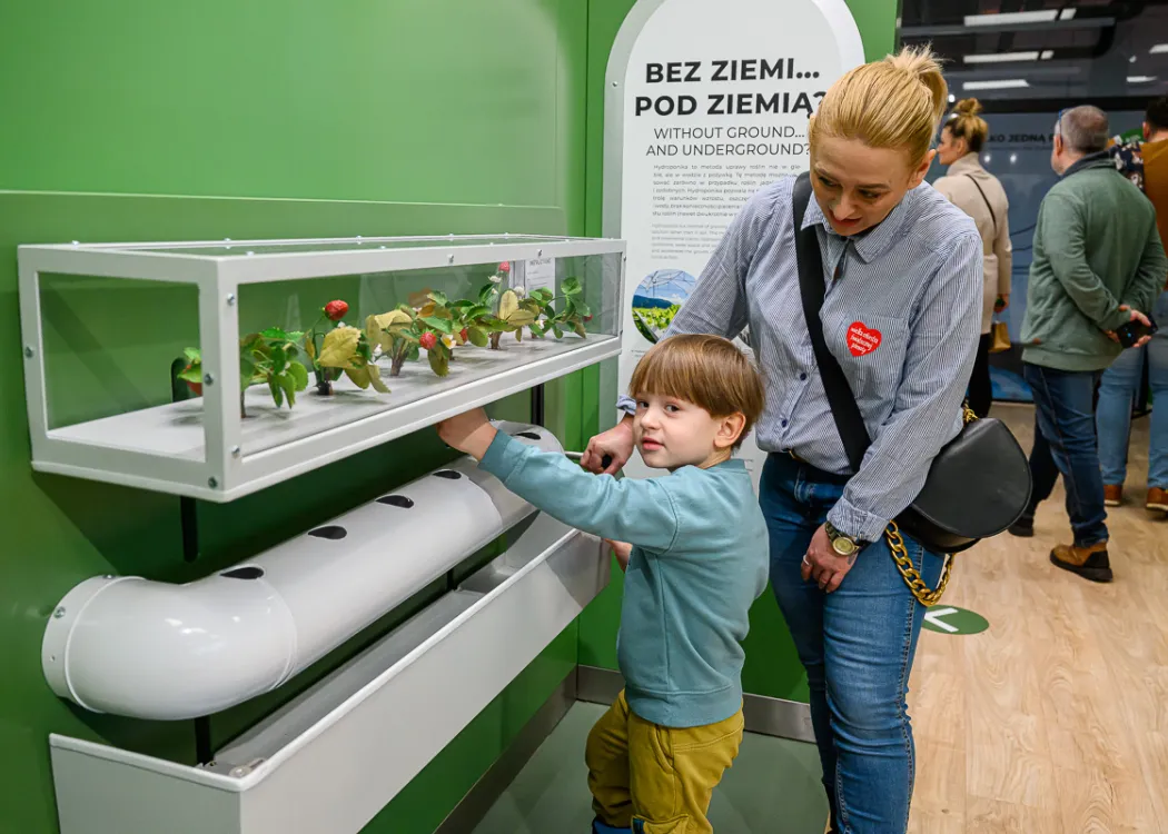 Sztab WOŚP 2024 na UWM w Olsztynie. Finał w Kortosferze 