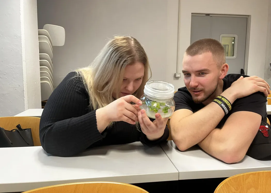 studenci ogladają cos w słoiku