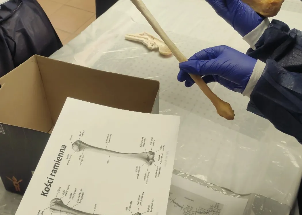 Koło Naukowe Suicydologii UWM na warsztatach w Gdańsku z antropologii sądowej