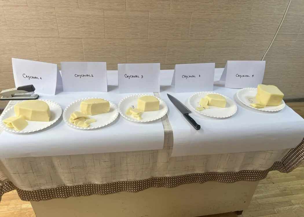 Międzynarodowy Konkurs Sensoryczny