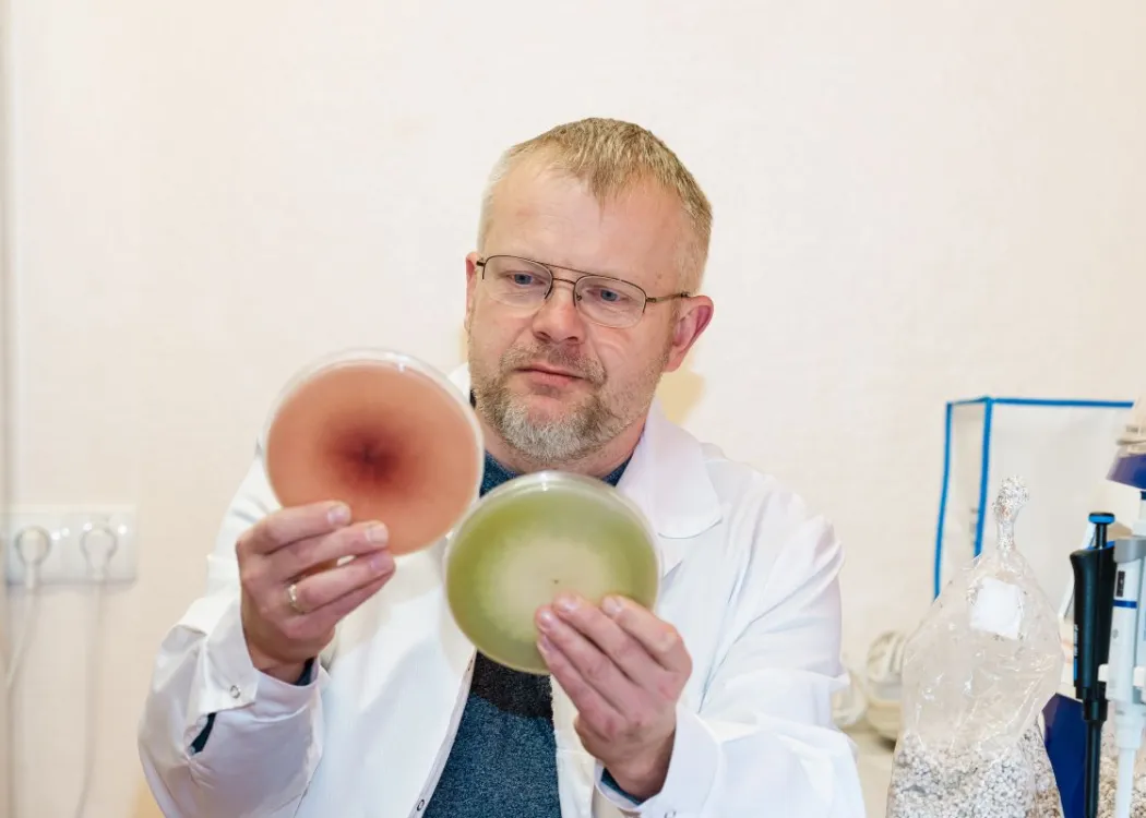 Prof. dr hab. inż. Tomasz Kulik