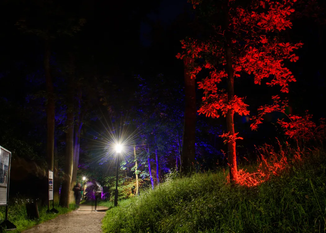 Park Świateł w Kortowie