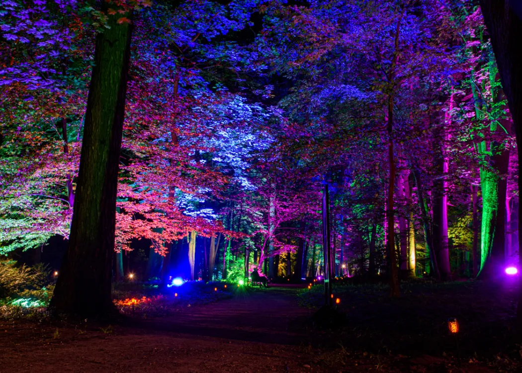 Park Świateł w Kortowie