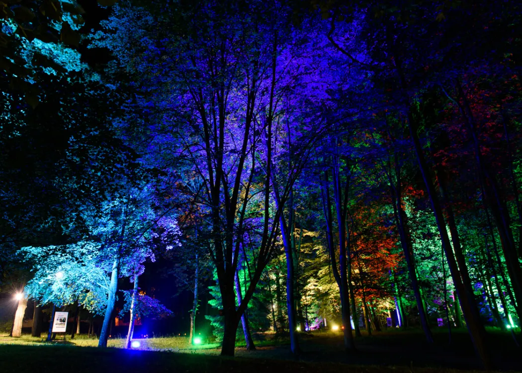 Park Świateł w Kortowie