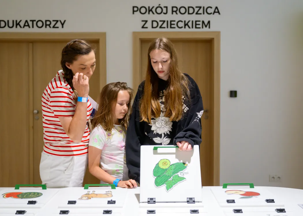 Kortosfera: Słońce rządzi wszystkim - energia