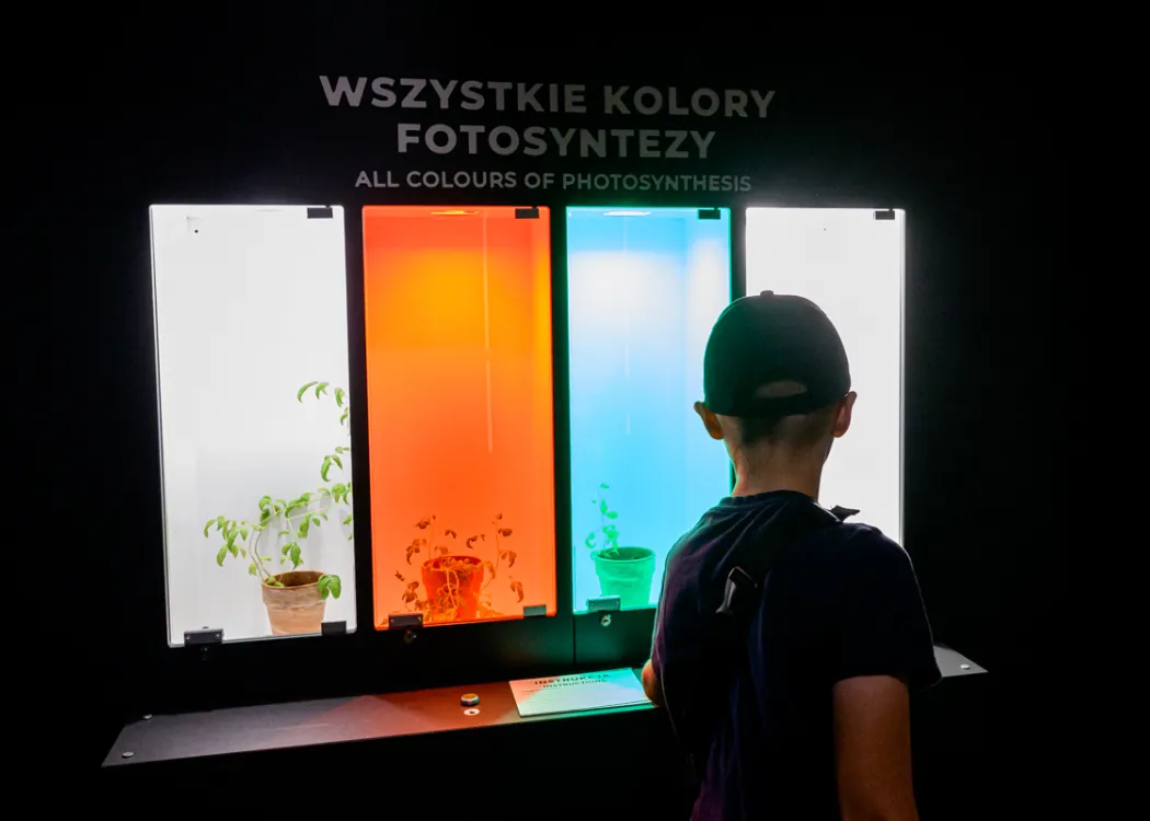 Kortosfera: Słońce rządzi wszystkim - energia