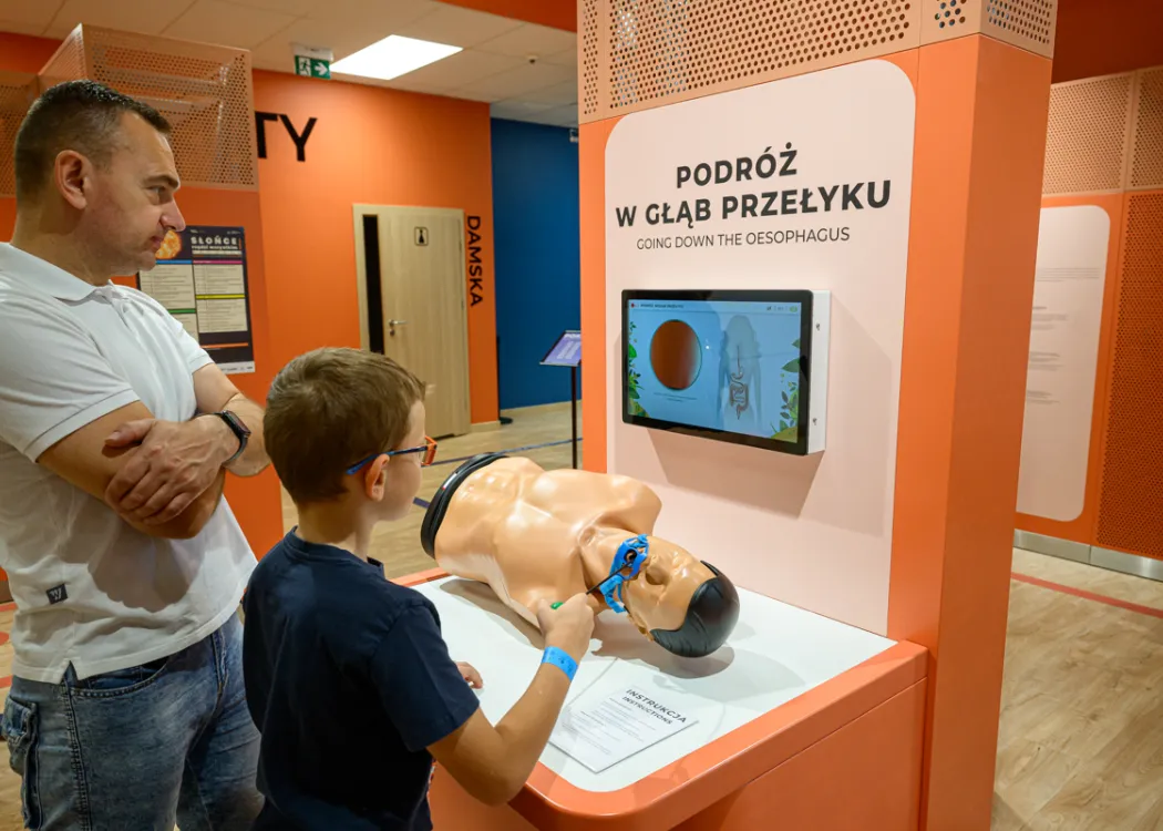 Kortosfera: Słońce rządzi wszystkim - energia