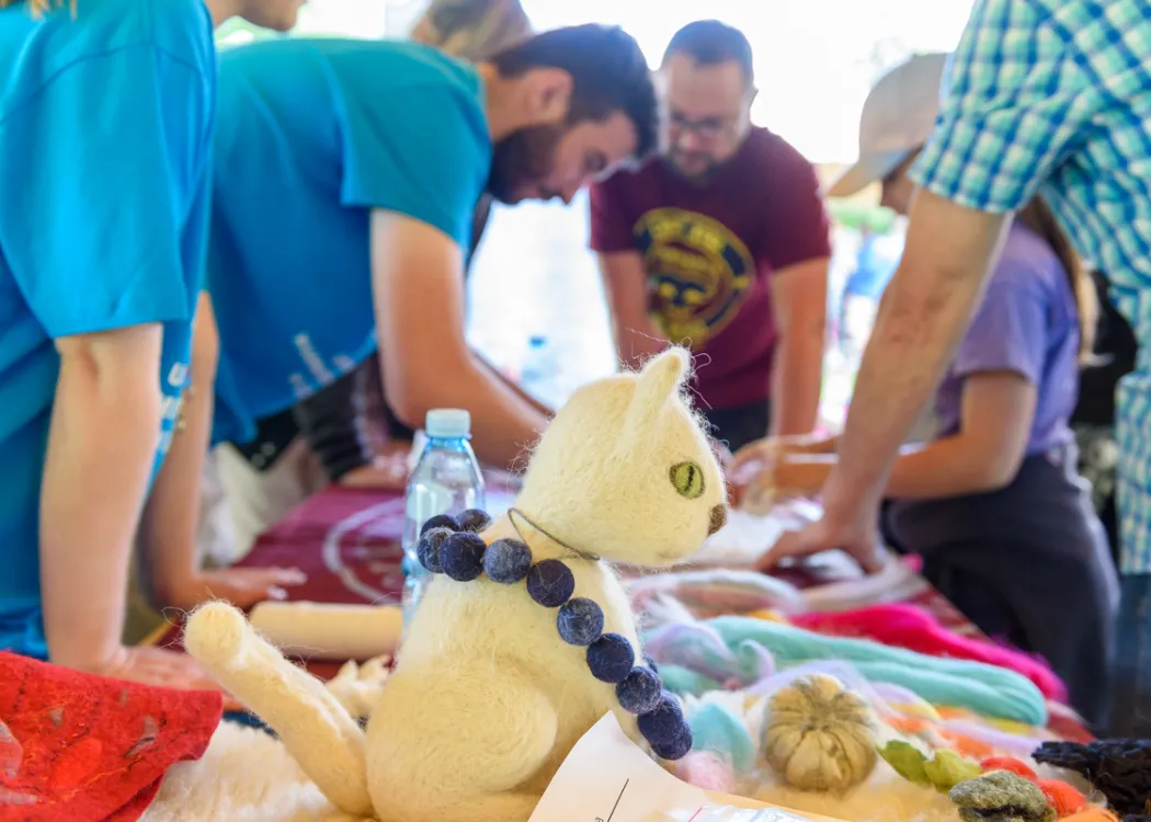 Piknik Nauki i Sztuki w Kortowie - jubileusz 25-lecia UWM