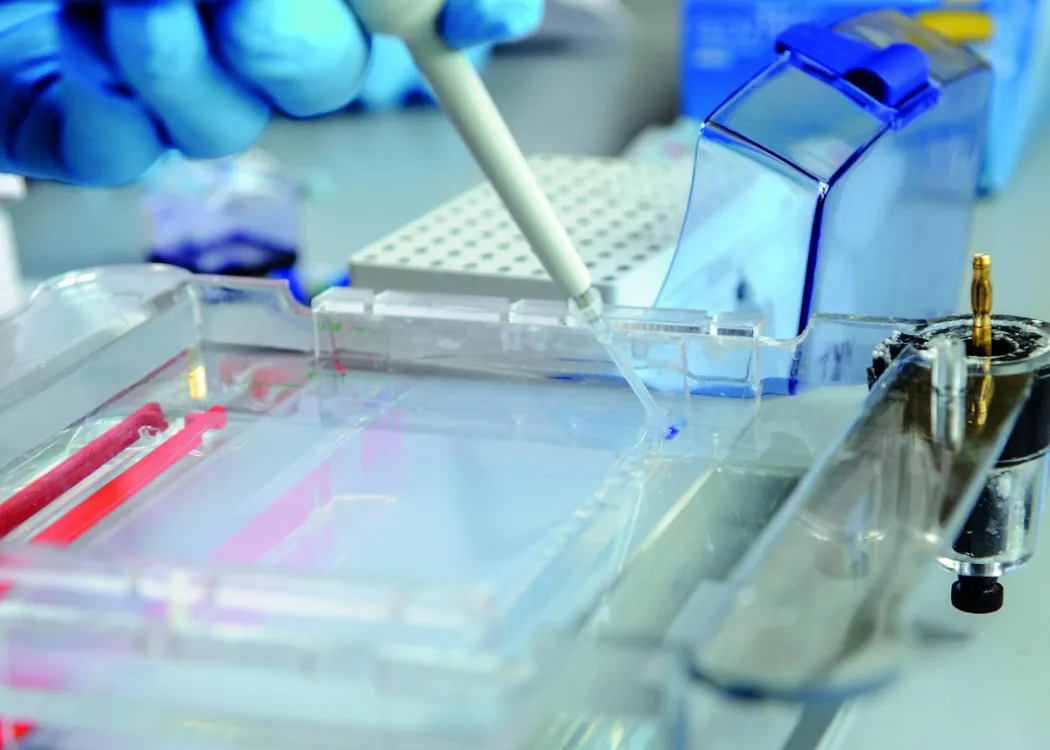 Laboratorium, fot. Janusz Pająk