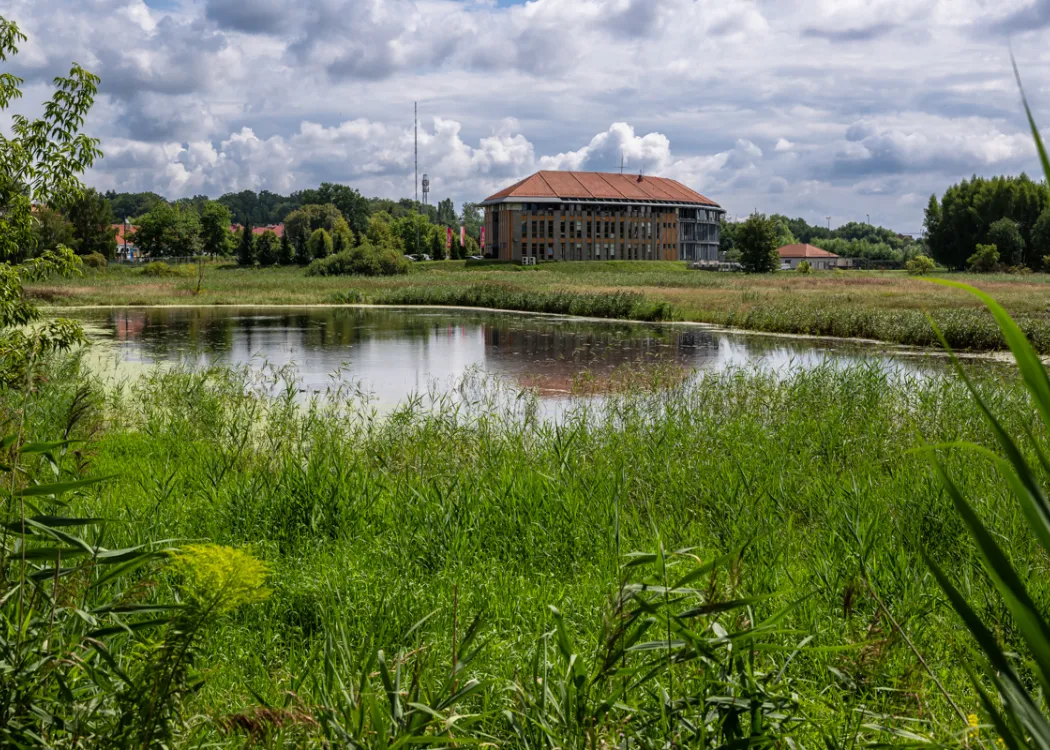 Jezioro Płociduga Duża na tle zieleni 