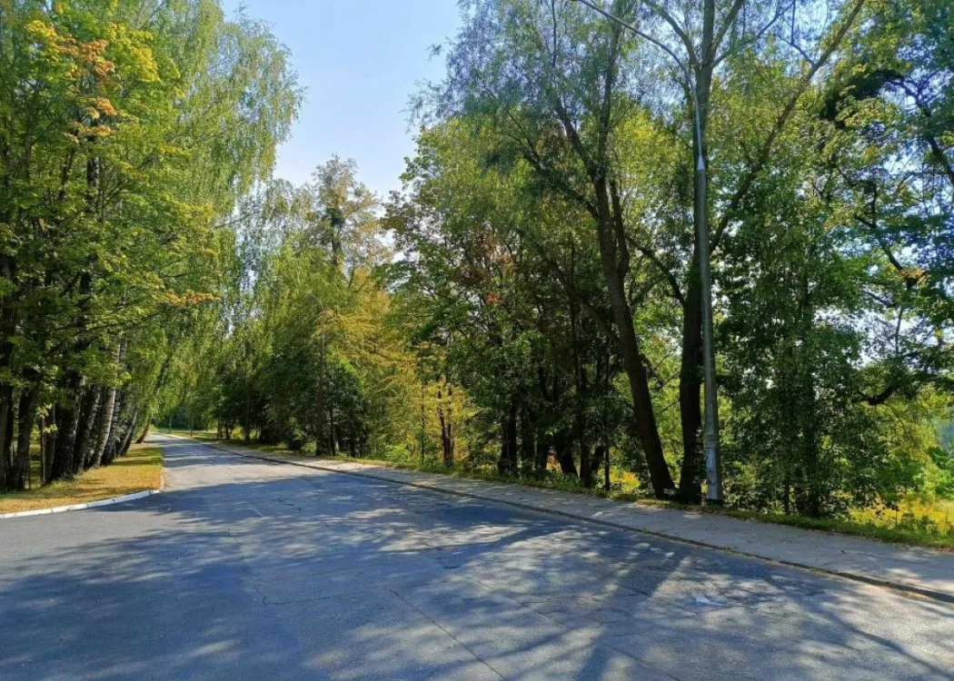 Ulica Żebrackiego
