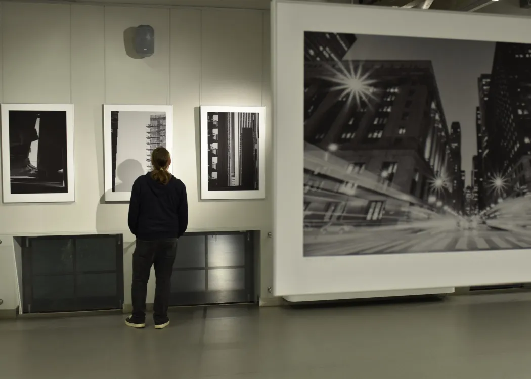 Wystawa Macieja Janickiego fot. Ścibor Ciepielewski