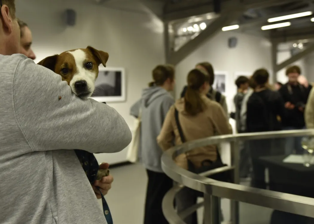 Wystawa Macieja Janickiego fot. Ścibor Ciepielewski
