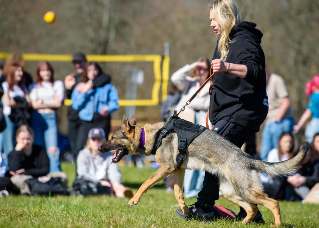 Dzień Otwarty UWM 2025