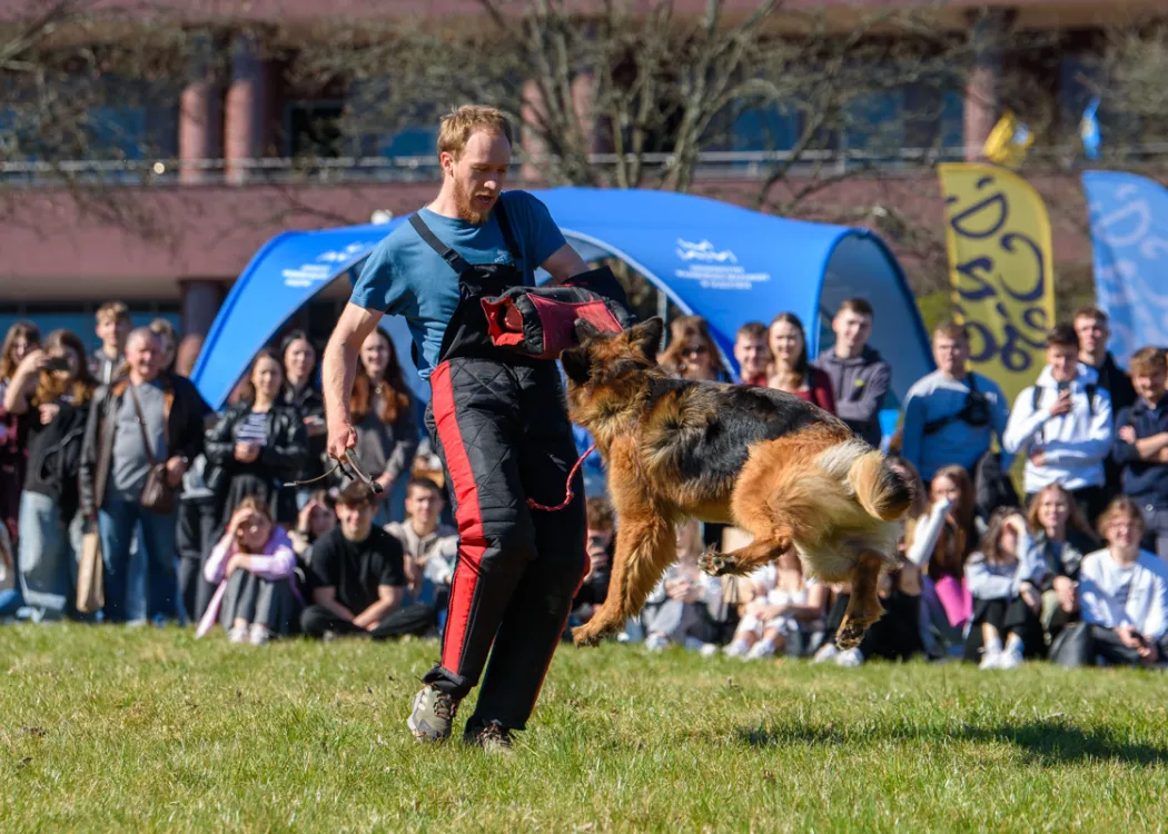 Dzień Otwarty UWM 2025