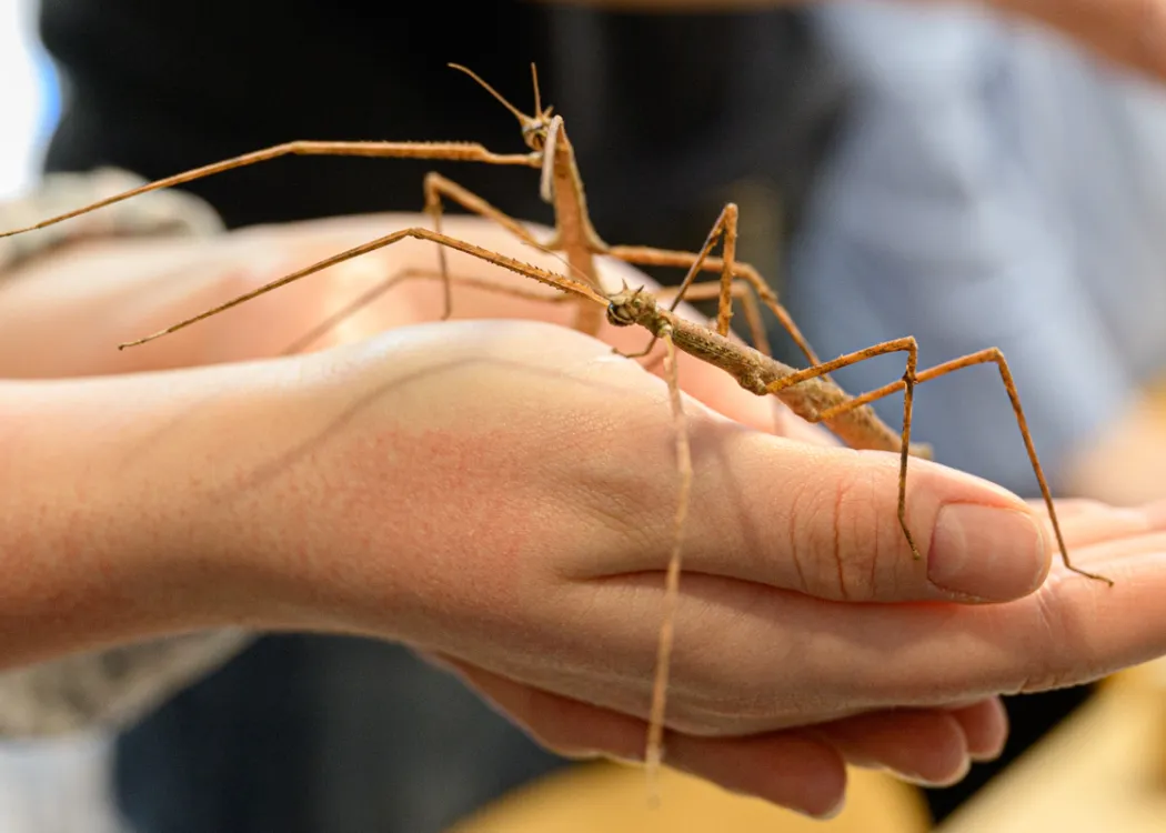 Dzień Otwarty UWM 2025