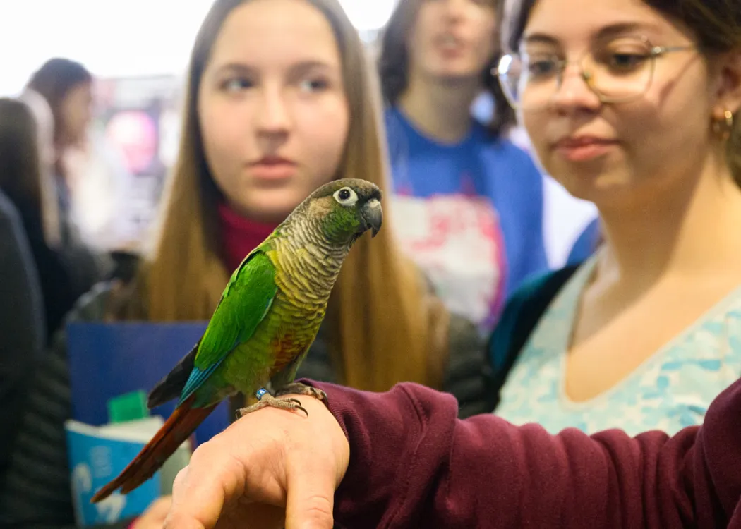 Dzień Otwarty UWM 2025