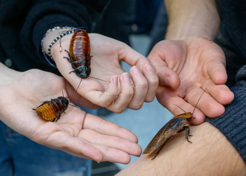 Dzień Otwarty UWM 2025