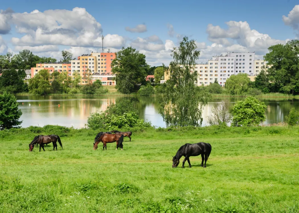 Jezioro Starodworskie