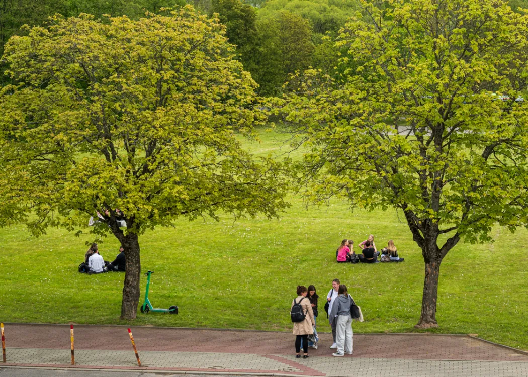 Targi Pracy UWM