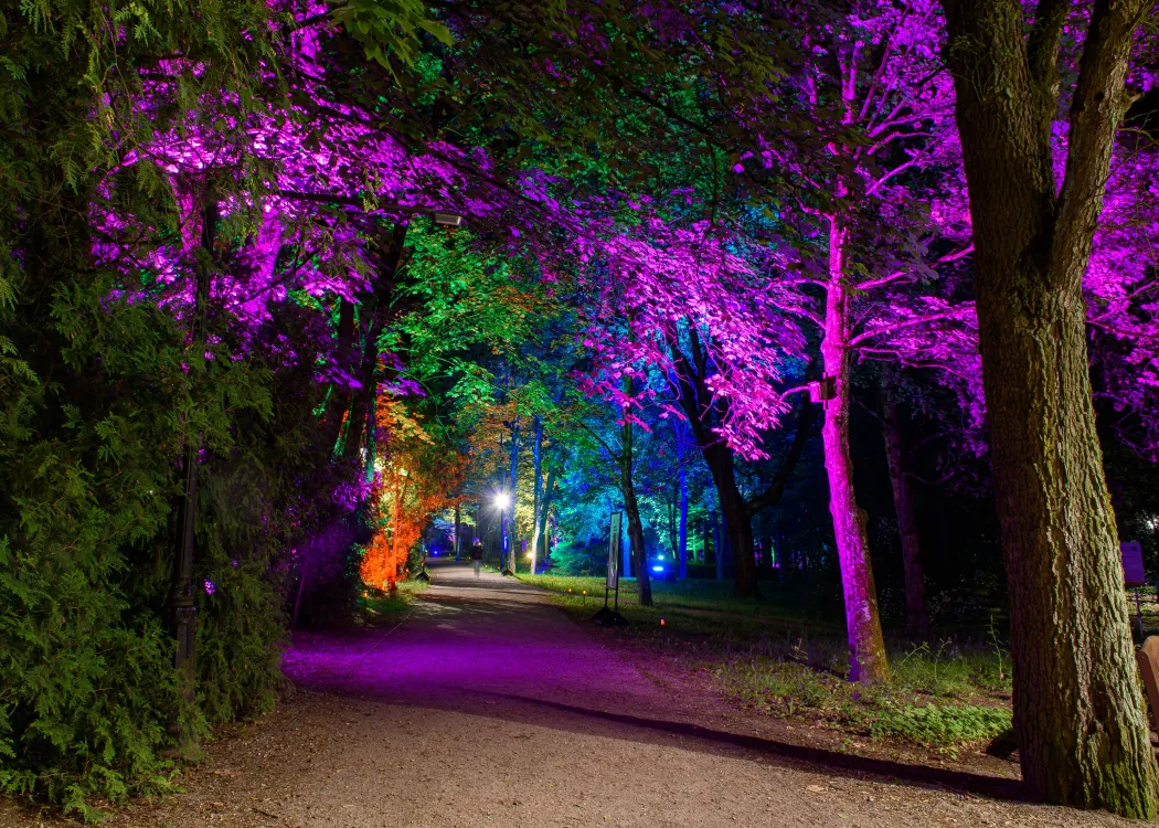 kortowski park światła