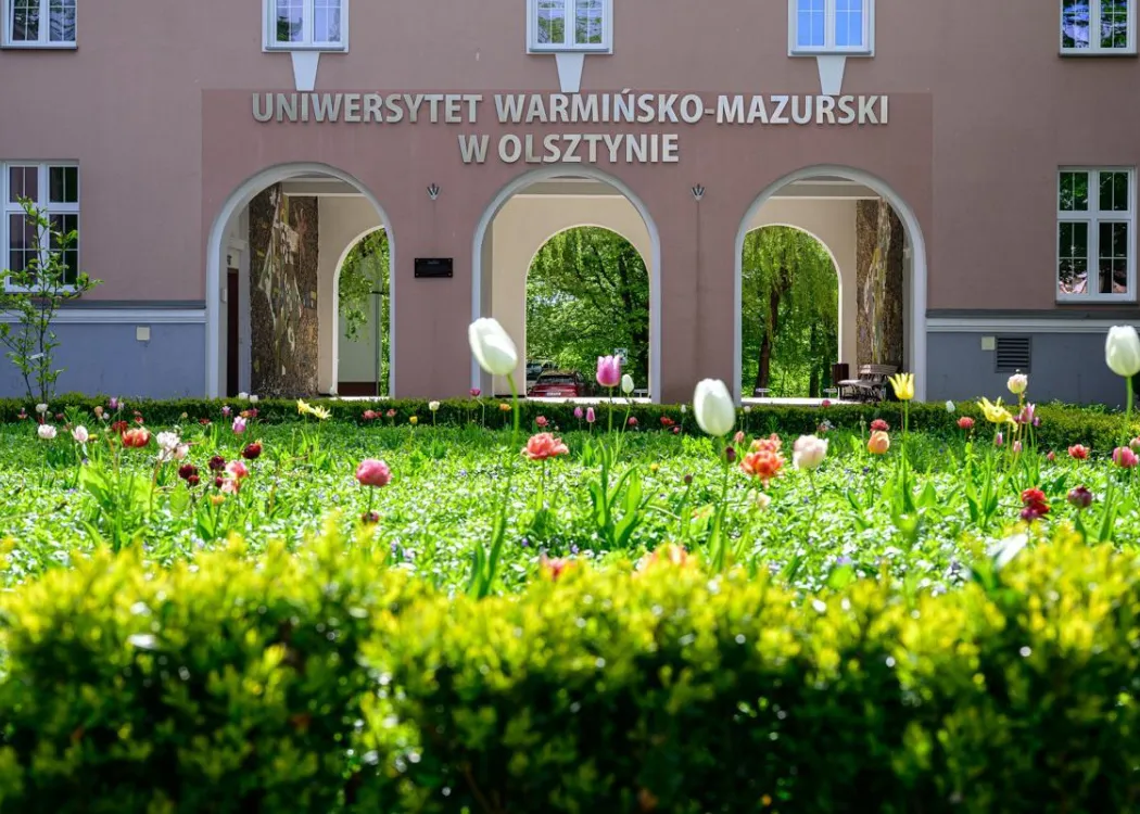 Rektorat UWM wiosną, tulipany na pierwszym planie