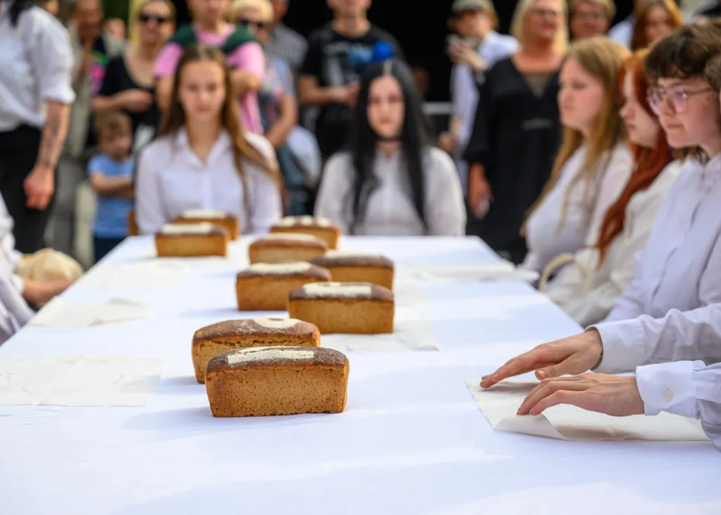 Piknik Sztuki z okazji jubileuszu 35-lecia Instytutu Sztuk Pięknych