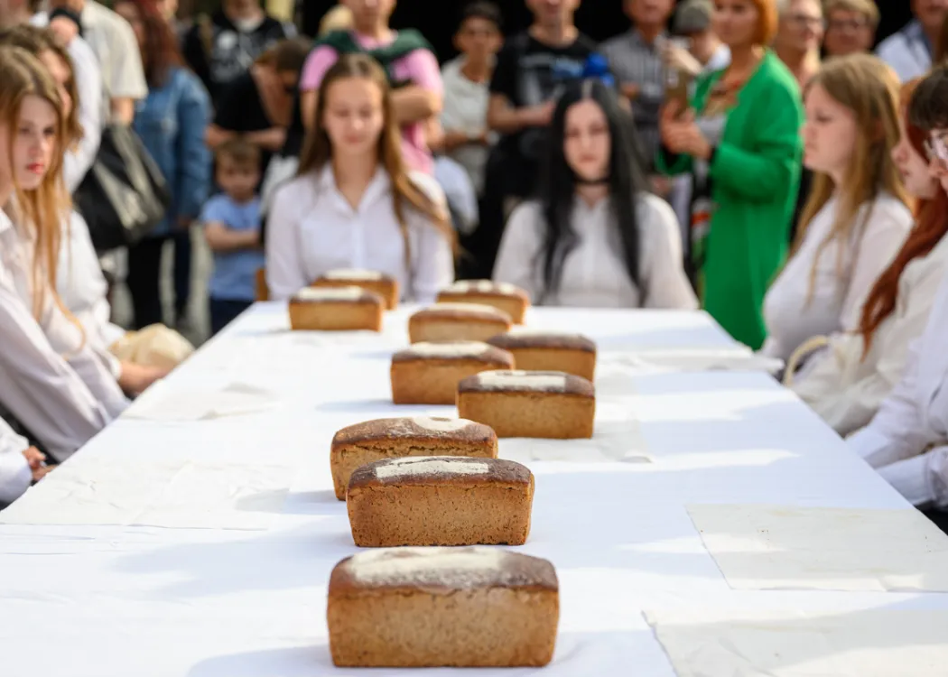 Piknik Sztuki z okazji jubileuszu 35-lecia Instytutu Sztuk Pięknych