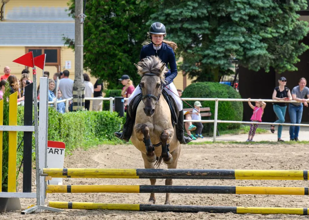Regionalne Zawody Jeździeckie UWM