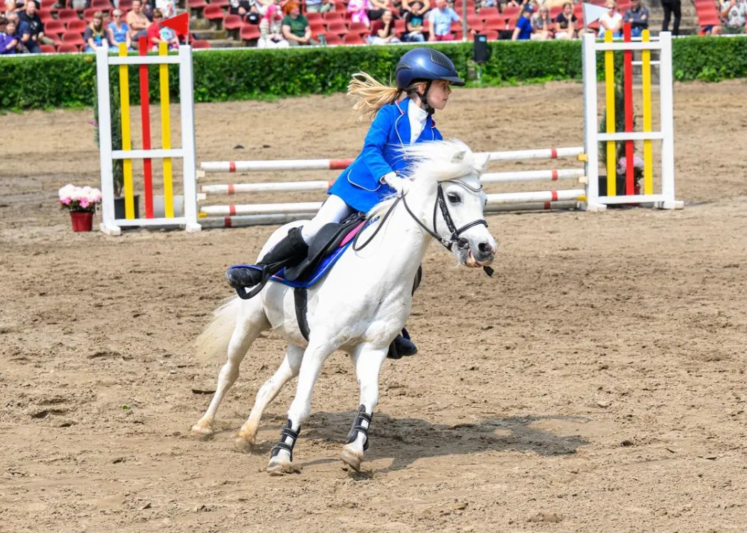 Regionalne Zawody Jeździeckie UWM