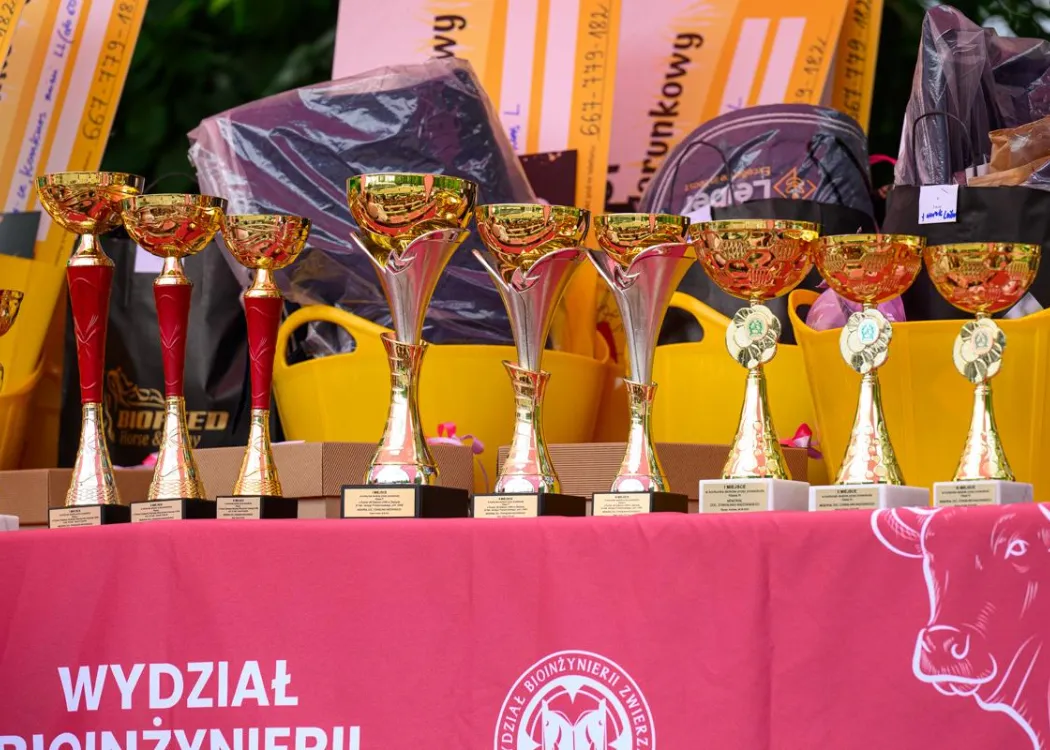 Regionalne Zawody Jeździeckie UWM