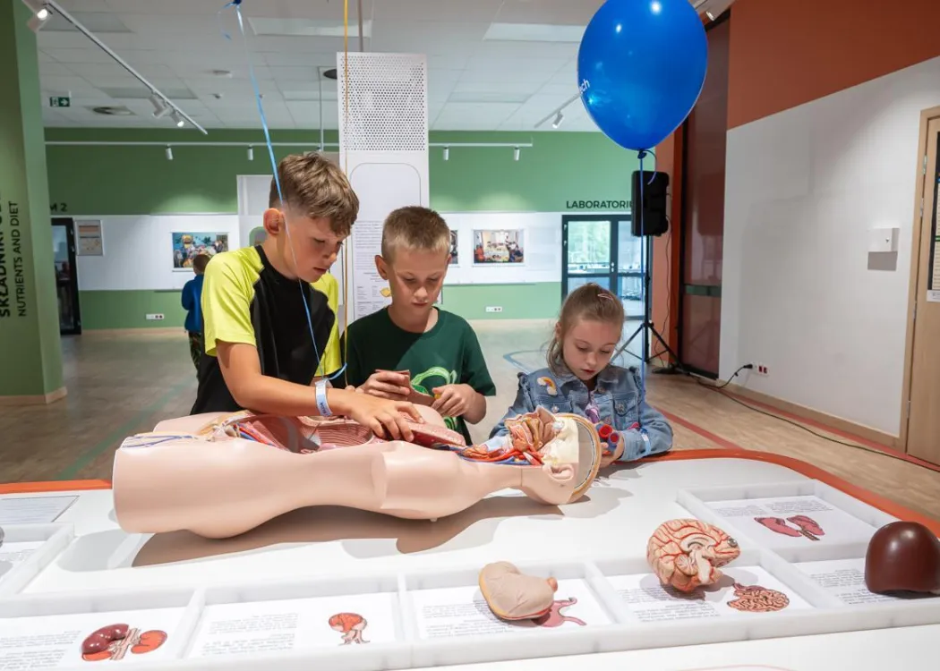 Słońce rządzi wszystkim - Kortosfera 2025
