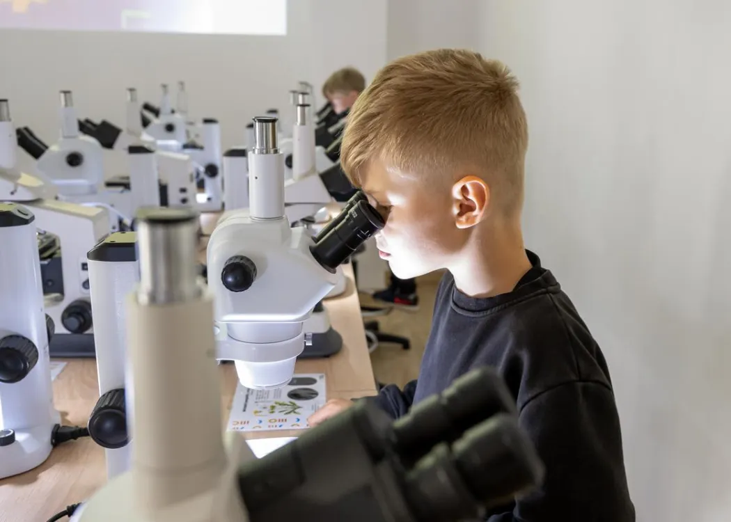 Słońce rządzi wszystkim - Kortosfera 2025