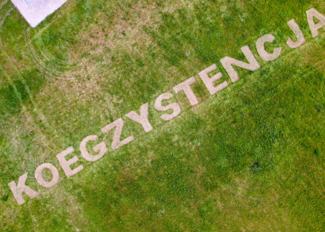 Koegzystencja