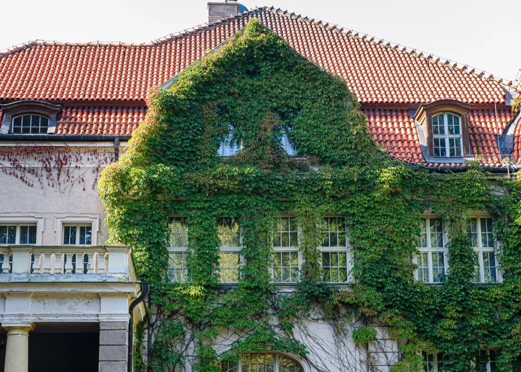 palac w lezanach