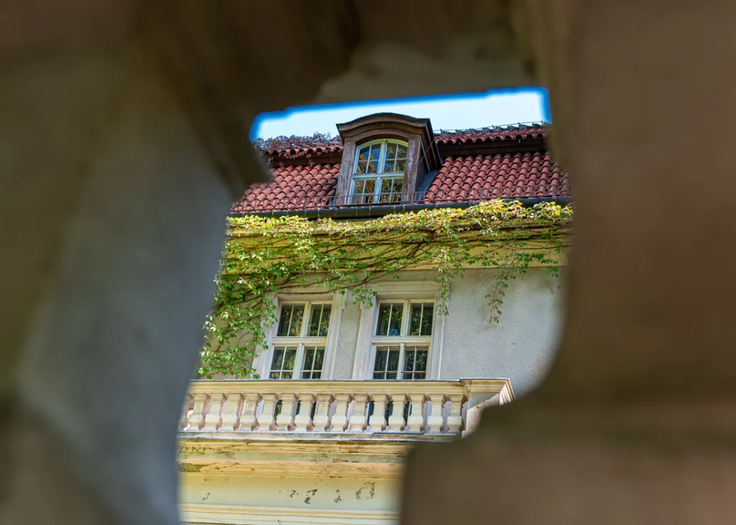 palac w lezanach